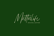 Williamson - Luxury Signature Font, a Script Font by StringLabs (Thumbnail 12 of 12)