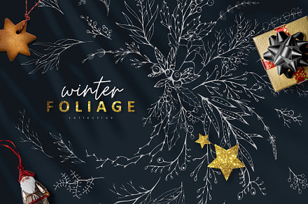Winter Foliage collection, a Decorative Illustration by Merfin