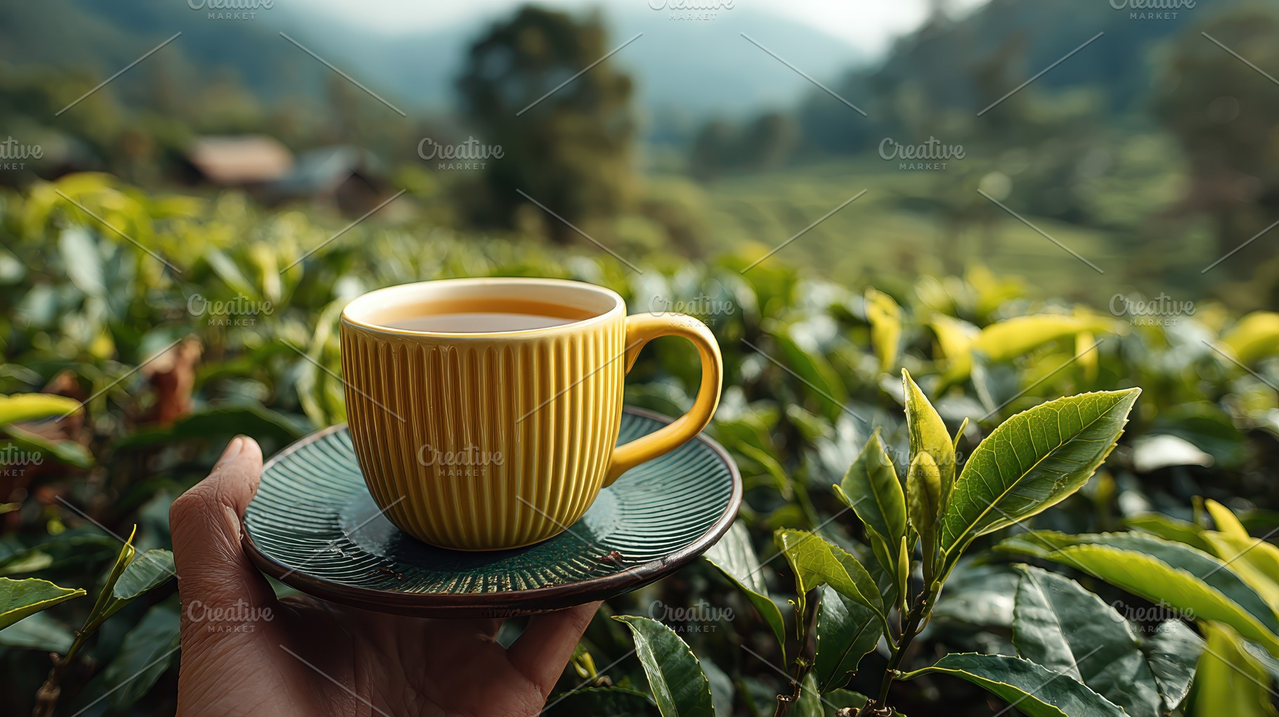 Yellow teacup in hand above tea plan, a Photo by Pixeness Studio