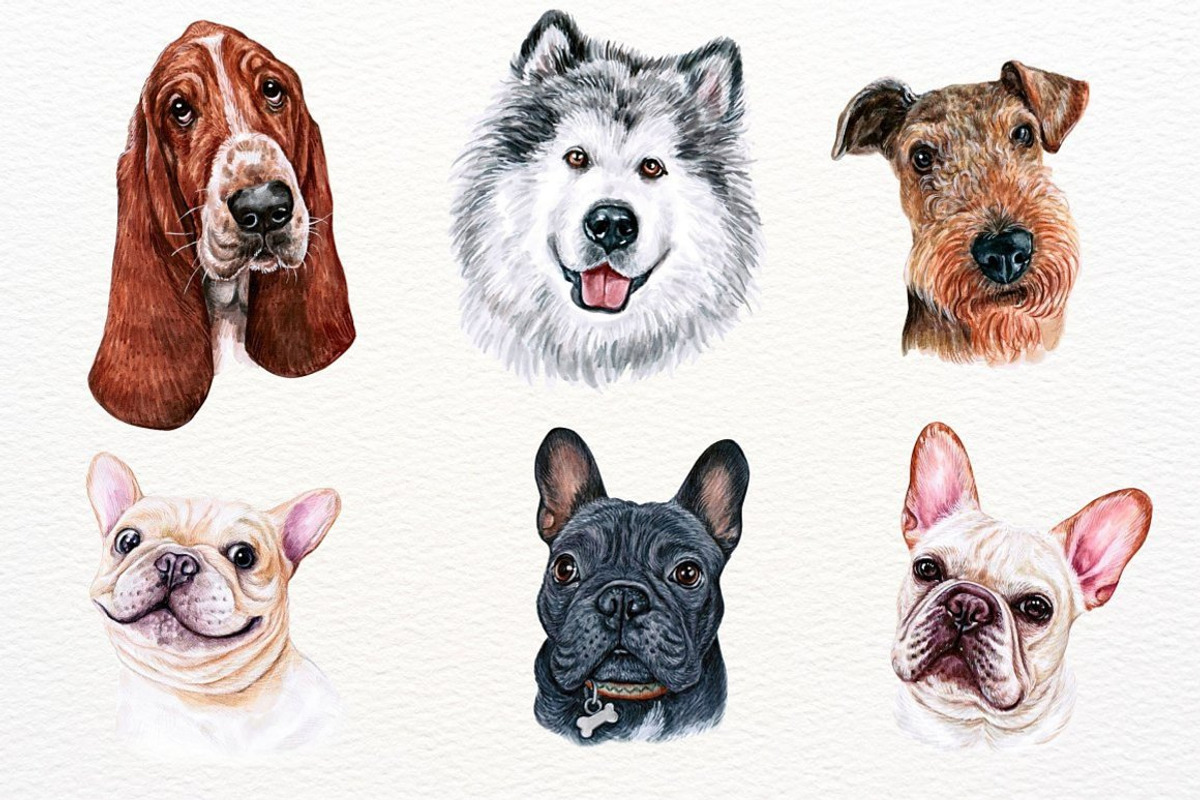 100+ Watercolor Dog Breeds - UPDATE, an Animal Illustration by ArtbyHien (Photo 7 of 9)