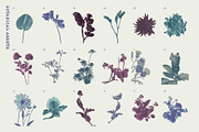 Printed Botanical Graphics, an Object Graphic by Neatly Made Studio (Thumbnail 6 of 17)