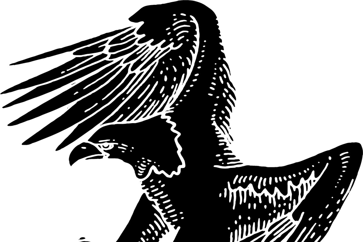 12 Bird of Prey Illustration, an Animal Illustration by Oban Jones (Photo 4 of 5)