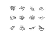 Plant Seed and Nuts vector icon set, an Object Illustration by Tettygreen (Thumbnail 3 of 3)