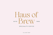 Hillant - Elegant Condensed Serif, a Serif Font by Dikas Studio (Thumbnail 2 of 9)