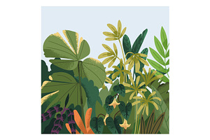 Plants & Green Leaves, Nature Cards