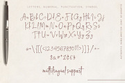 Hampton Signature Font, a Script Font by great19 (Thumbnail 10 of 10)