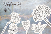 Wildflower Ink Atelier, a Decorative Illustration by The Journey Atelier (Thumbnail 15 of 19)