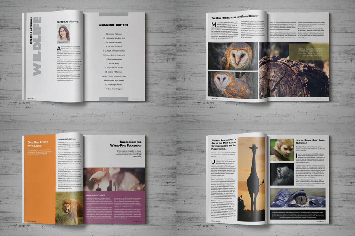 Wildlife Magazine Template, a Magazine Template by voryu (Photo 4 of 5)