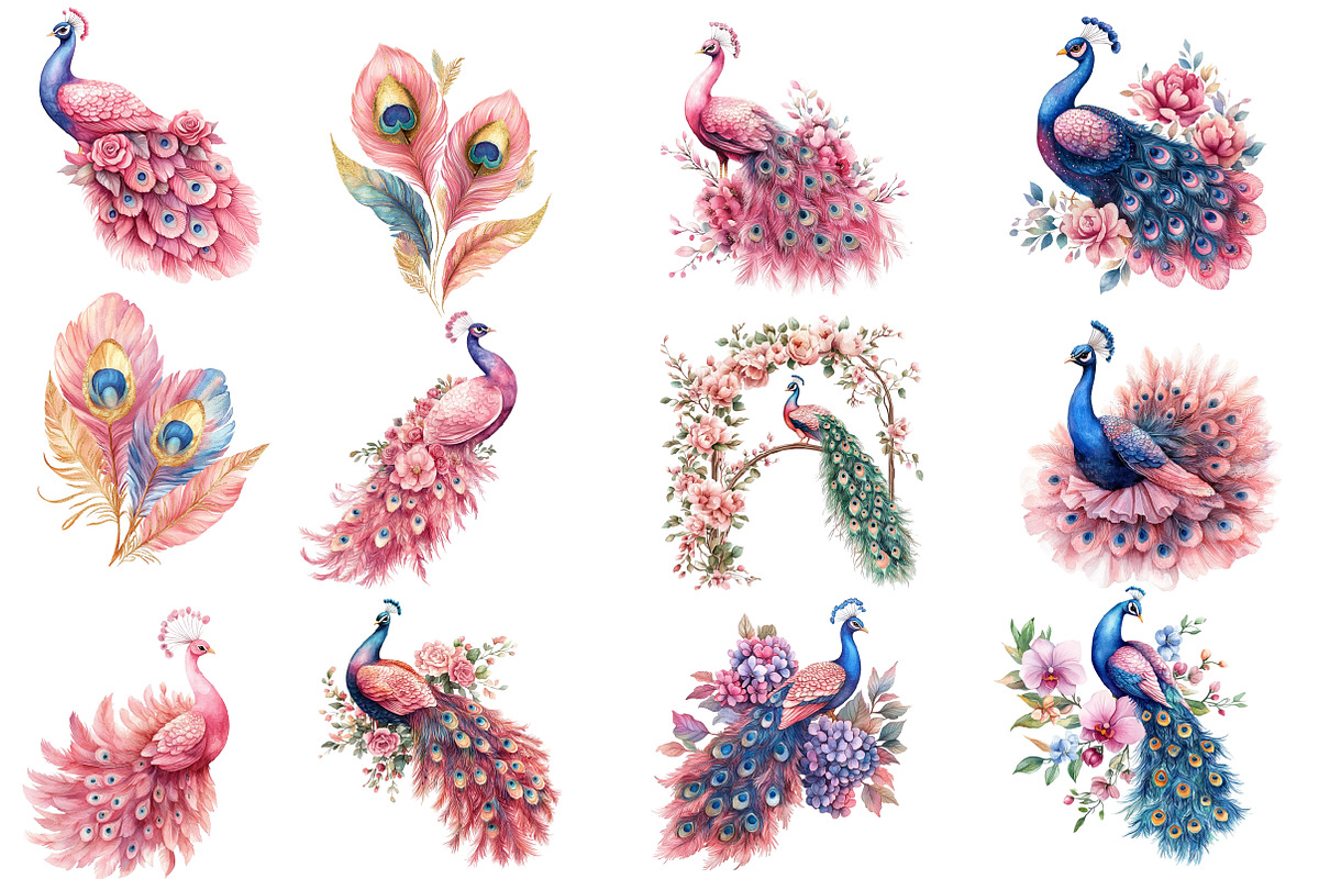 Wedding Peacock Clipart, an Illustration by Designworld (Photo 3 of 5)