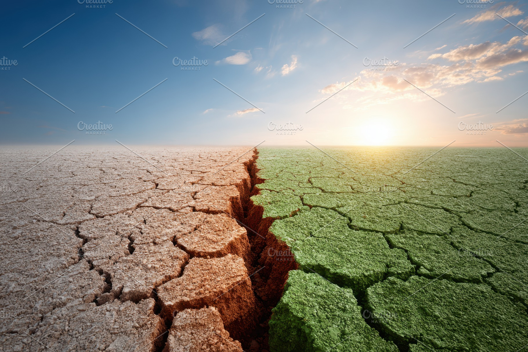 Split cracked earth and green ground at sunrise, a Nature Photo by AlyaAnd