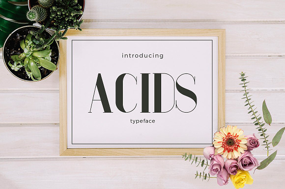 Acids Typeface Fonts preview 7