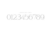 Iconique Serif Regular, a Serif Font by Nguyen Type (Thumbnail 5 of 9)