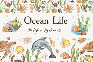 Watercolor ocean life