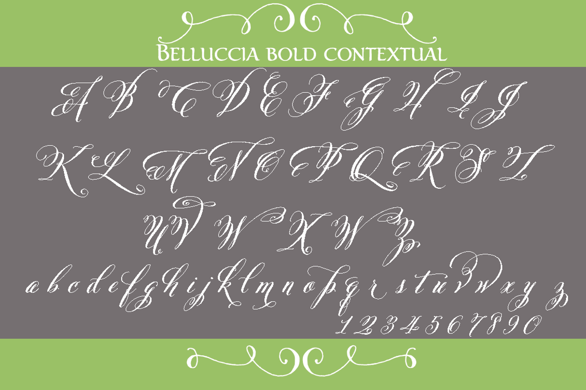 Belluccia Pro Bold Font preview 3