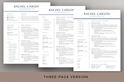 Executive Resume & Cover Letter Word, a Resume Template by Resume Bureau (Thumbnail 4 of 6)
