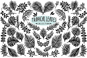 Vector leaves collection