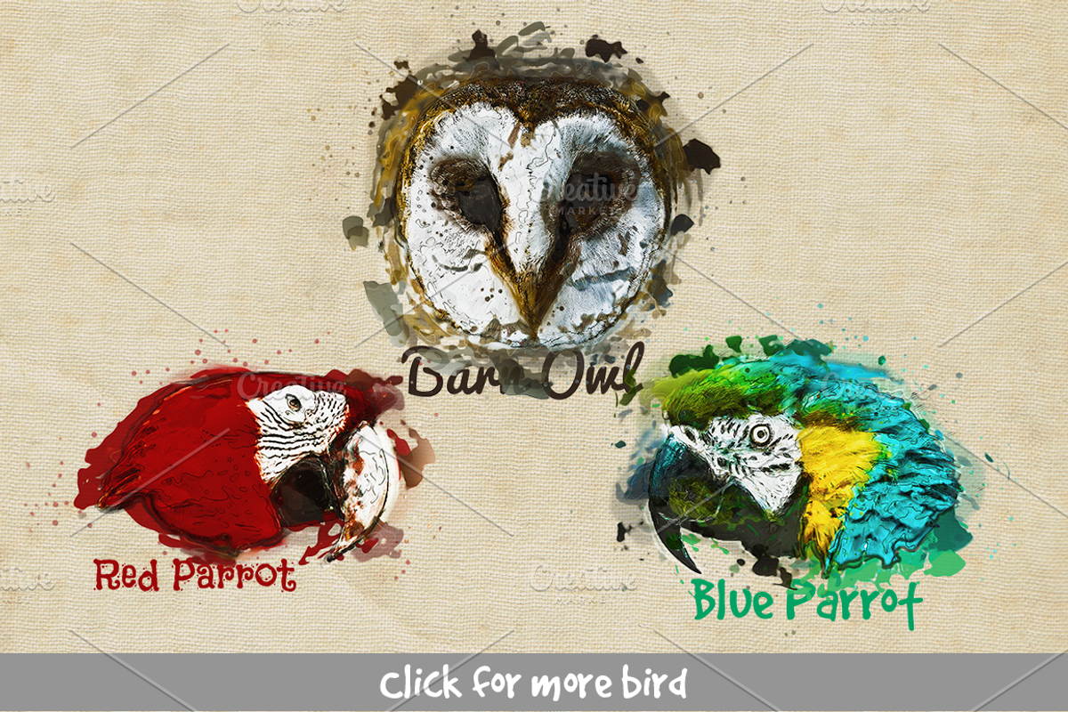 Bird Head Pencil & Watercolor vol 1, an Animal Illustration by Sahade Studio (Photo 3 of 3)