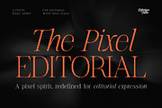 The Pixel Editorial – Modern Serif, a Sans Serif Font by Lettertype Studio (Thumbnail 1 of 15)
