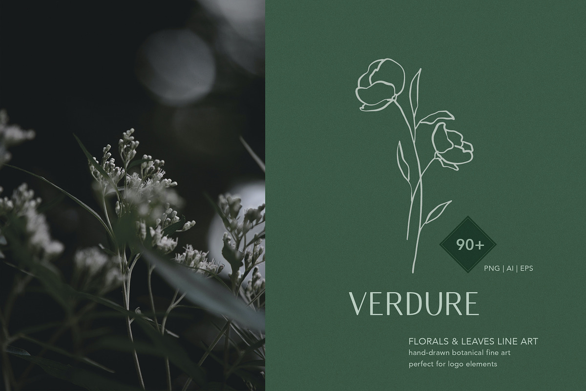 Botanical Line Art Logo, an Illustration by Backyard Rose (Photo 1 of 12)