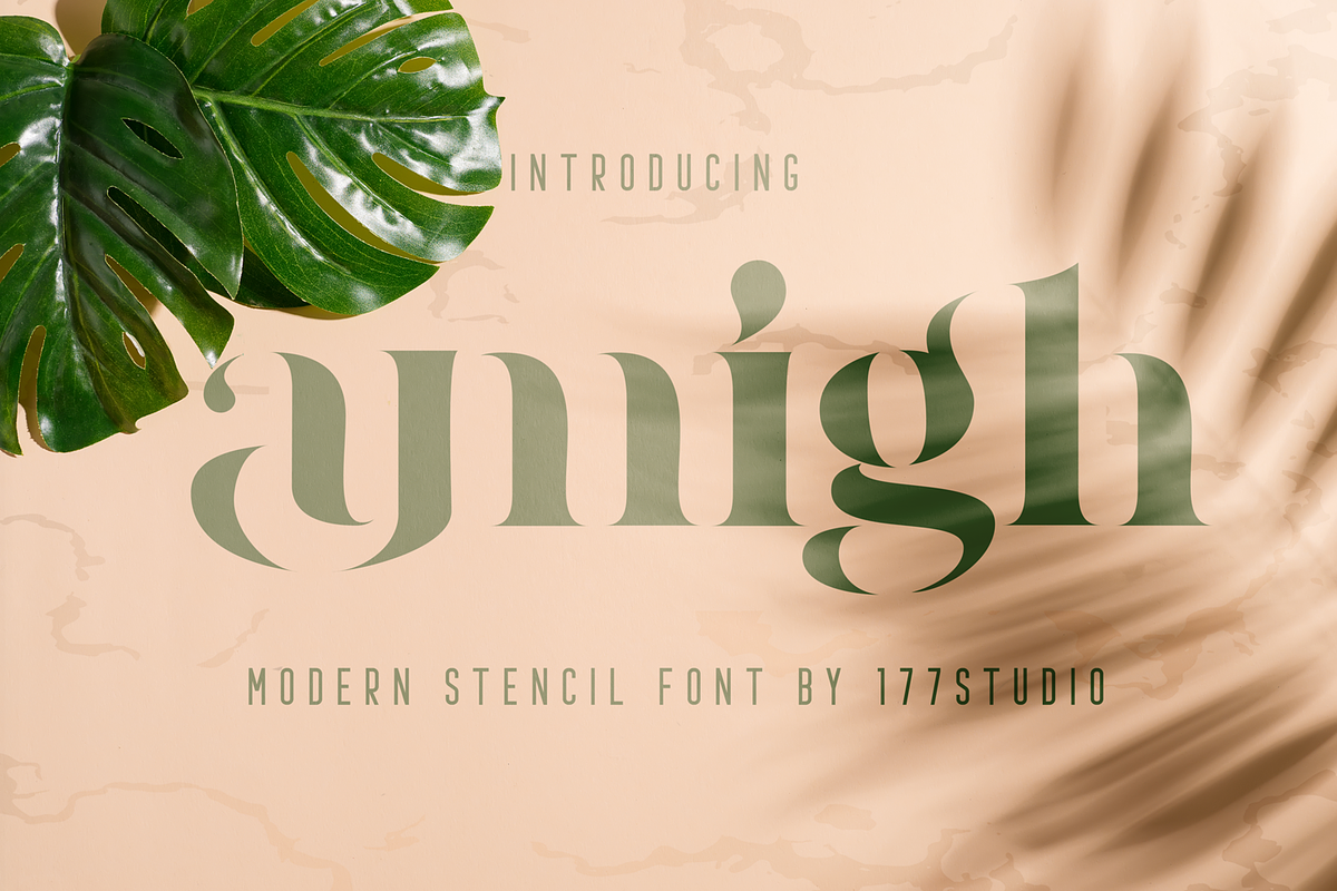 Amigh - Modern Serif Font, a Serif Font by 177Studio (Photo 1 of 8)