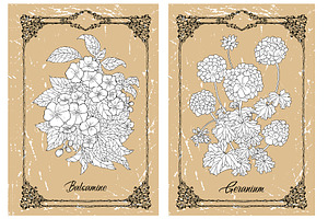 Big Set Of Vector Hand Drawn Flowers