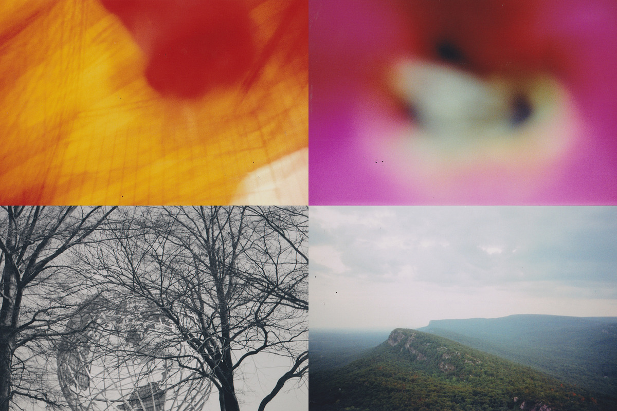 45 Nature Snapshots (Lomo LC-A), a Nature Photo by Studio Rho (Photo 5 of 11)