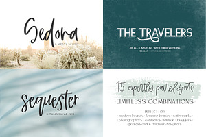 The Logo And Branding Font Bundle