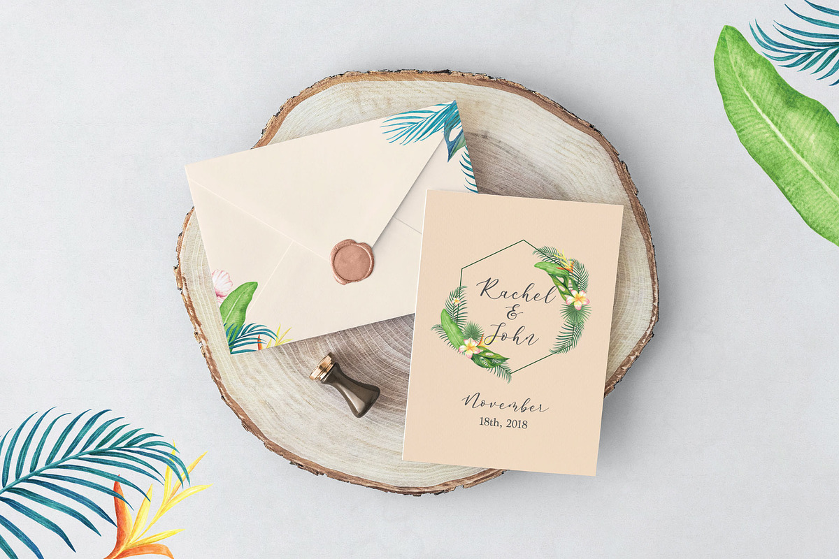 Tropical Collection, a Decorative Illustration by endita (Photo 9 of 14)