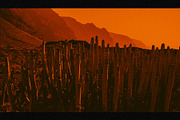 ORANGE CREATIVE PRESETS, a Preset Add-On by El Oasis Market (Thumbnail 7 of 7)