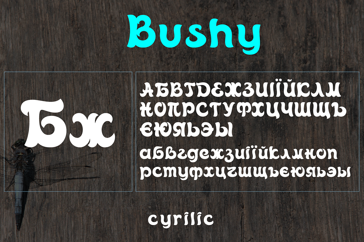 Bushy font family, a Script Font by vlad.berla (Photo 6 of 12)