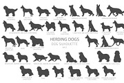 Herding dogs, Sheepdogs Silhouettes, an Animal Illustration by pet design shop (Thumbnail 8 of 13)