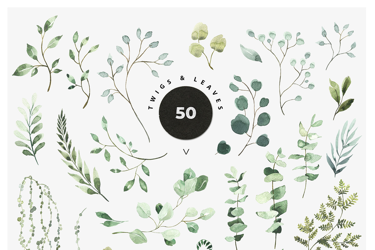 JUST GREEN leaves greenery foliage, a Decorative Illustration by Lana Elanor (Photo 3 of 8)