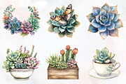 Succulent Watercolor Cliparts, an Illustration by RobertsArt (Thumbnail 3 of 7)