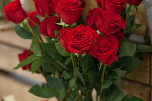 Red roses in a vase