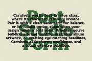 Carnivels - Bold Retro Serif Font, a Serif Font by Typeparties (Thumbnail 10 of 12)
