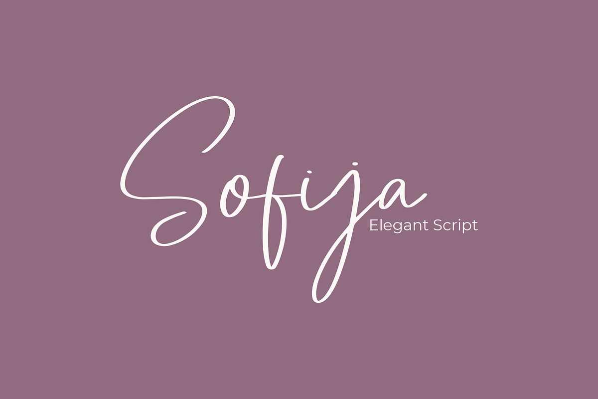 Sofija Elegant Script Font, a Script Font by NTC Graphic (Photo 1 of 9)