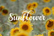 Kaydon, a Script Font by Gatype (Thumbnail 9 of 10)
