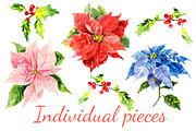 Winter Watercolor Flowers, a Graphic by KannaaDesign (Thumbnail 2 of 5)