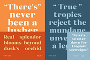 Galio Vintage Elegant Serif Display, a Serif Font by roomspace creative lab (Thumbnail 4 of 10)