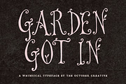 Garden Got In Tendril Display Font, a Handwritten Font by The October Creative (Thumbnail 1 of 8)