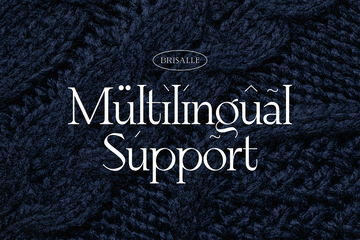 Brisalle Stylish Artistic Font, a Serif Font by Graphue (Photo 4 of 9)
