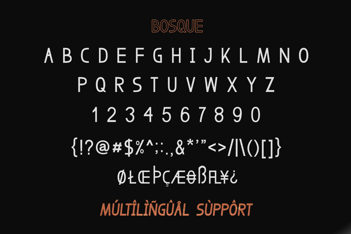 BOSQUE, a Sans Serif Font by Alpha Bento (Photo 4 of 5)