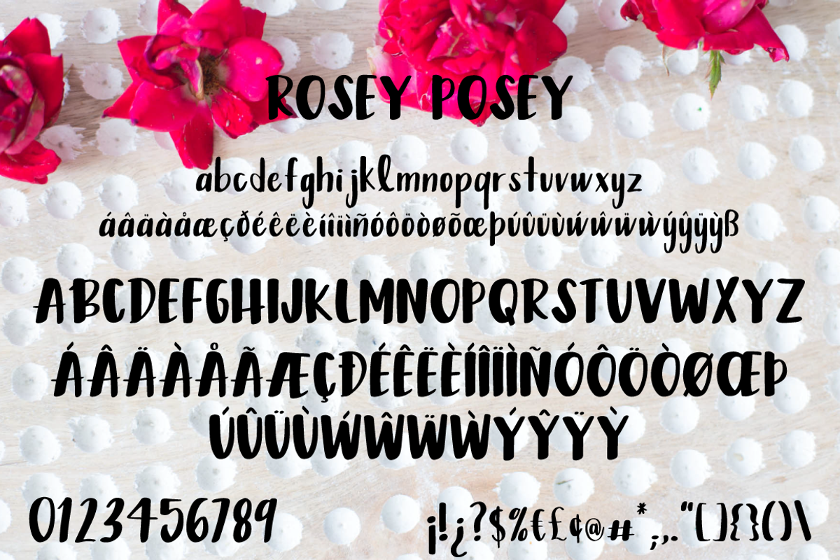 Rosey Posey Brush Font preview 7