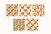 Moon Tiger Playful Graphics Bundle, an Illustration by Katerina Osa (Thumbnail 11 of 13)