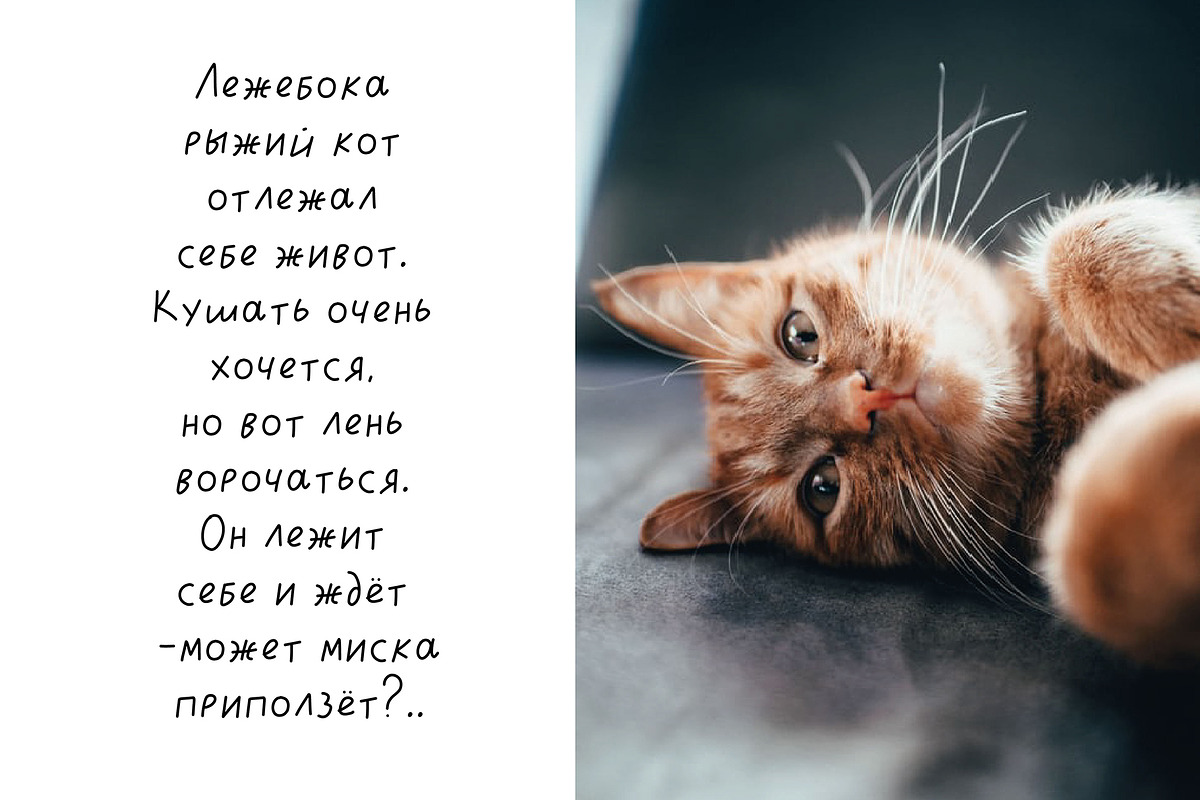 Lazycat Kids font, a Script Font by JuliyArt (Photo 7 of 9)