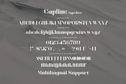 Capline - Stylish Serif Font, a Serif Font by Aqeel_Art (Thumbnail 11 of 11)