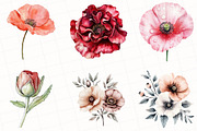 Watercolor Poppy Flower Clipart, an Illustration by OK Design (Thumbnail 2 of 5)