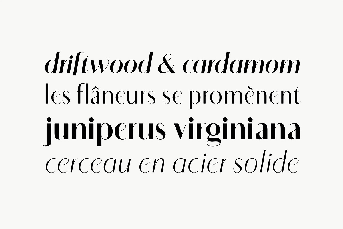 Sotira - A Crisp Sans Serif, a Font by Evoke Type Studio (Photo 2 of 15)