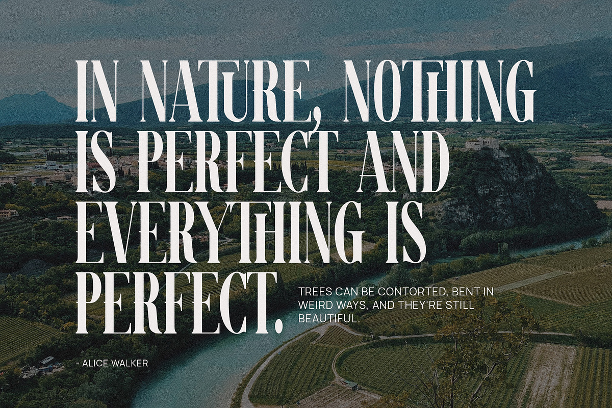 Malken Elegant Ligature Serif Font, a Serif Font by Graphicxell (Photo 2 of 6)