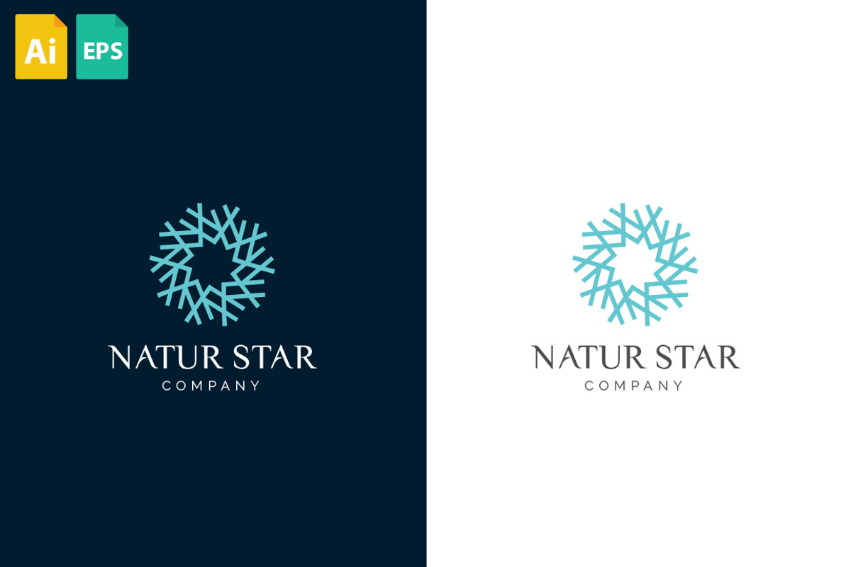Natur Star, a Branding & Logo Template by Schneider Design Store (Photo 2 of 2)